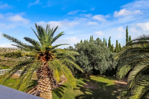 7 bed finca in Benissa