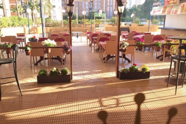 The Taj - Indian  Restaurant