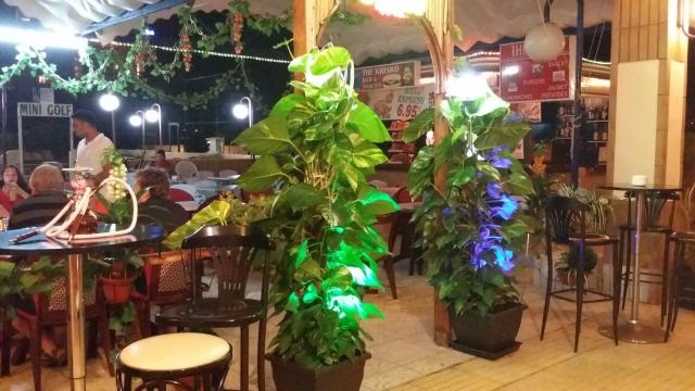 The Taj - Indian  Restaurant