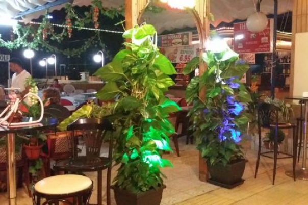The Taj - Indian  Restaurant