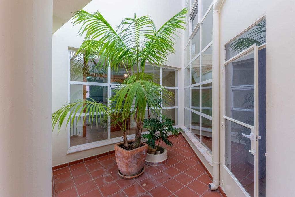 5 bed town_house in Pedreguer