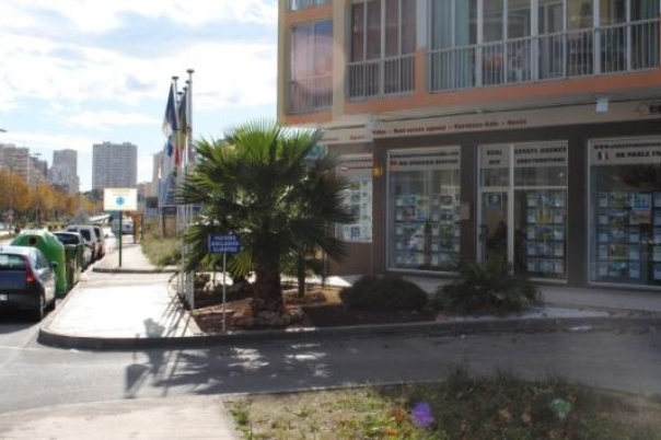 Inmobiliaria Riquelme - Properties & Construction