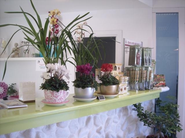 IDEAGARDEN CENTER