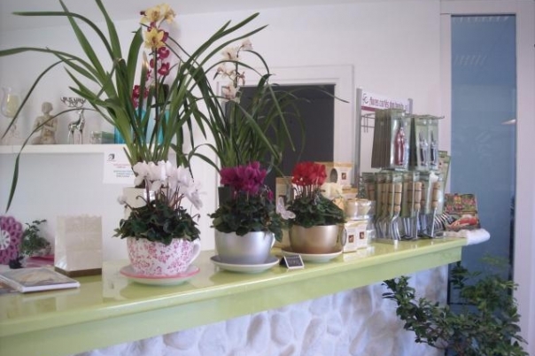 IDEAGARDEN CENTER