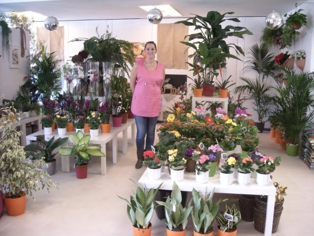 IDEAGARDEN CENTER
