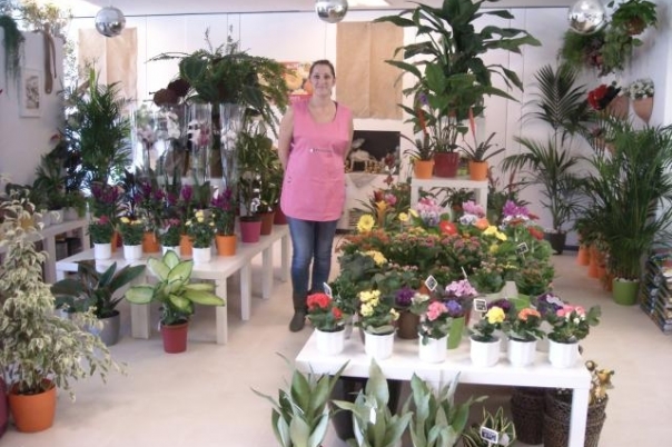 IDEAGARDEN CENTER