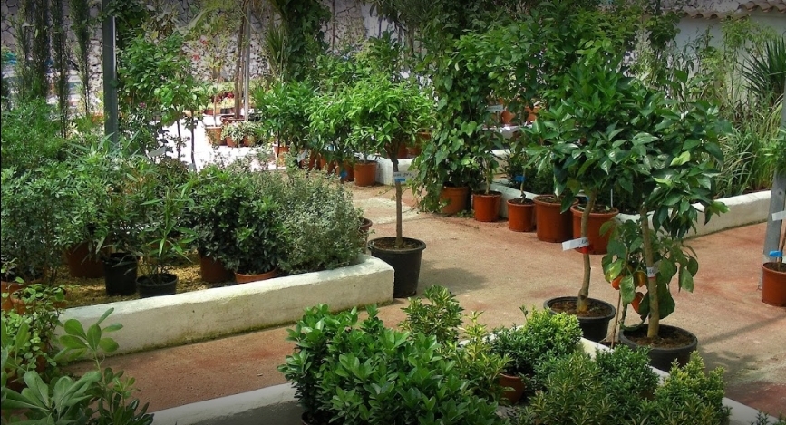 IDEAGARDEN CENTER