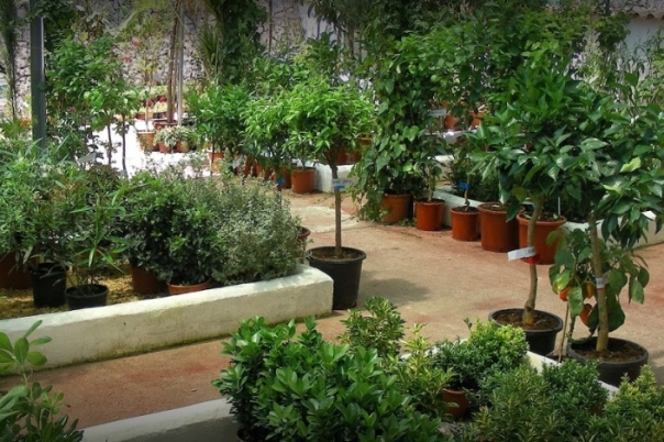IDEAGARDEN CENTER