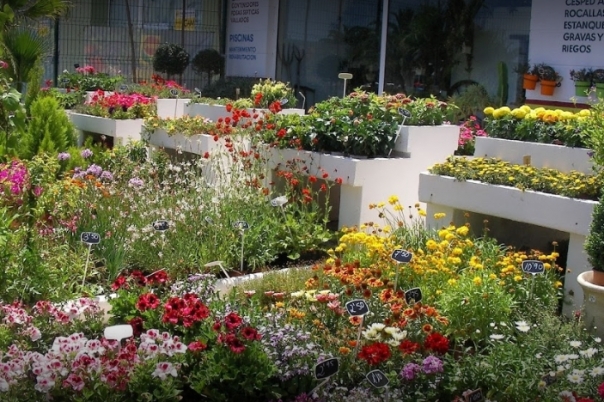IDEAGARDEN CENTER