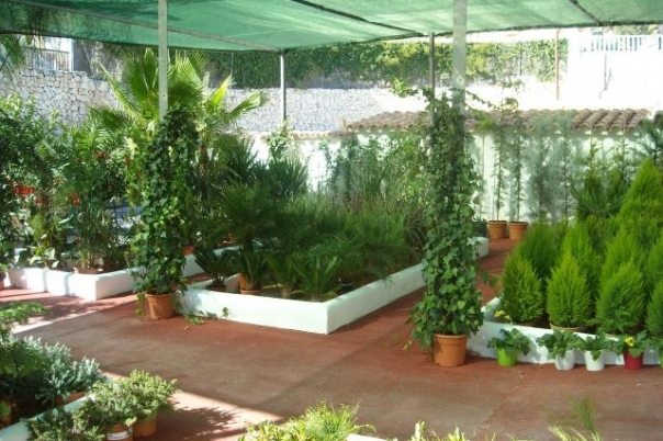 IDEAGARDEN CENTER