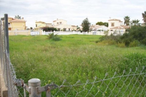 plot in Els Poblets