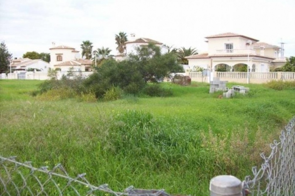 plot in Els Poblets