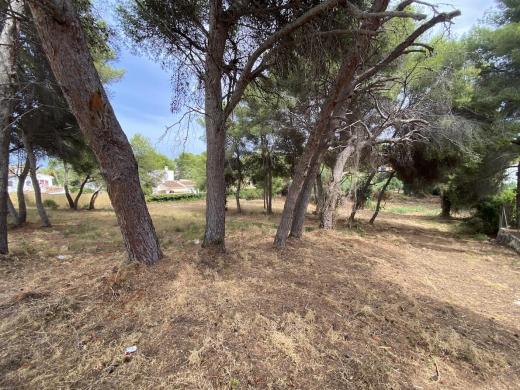 plots of land in Javea