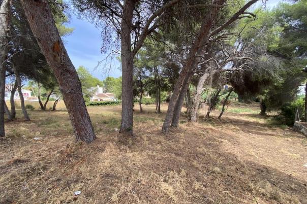 plots of land in Javea