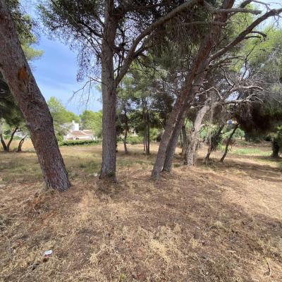 plots of land in Javea