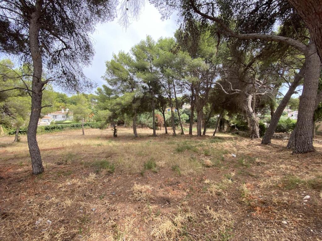 plots of land in Javea