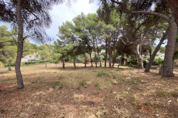 plots of land in Javea