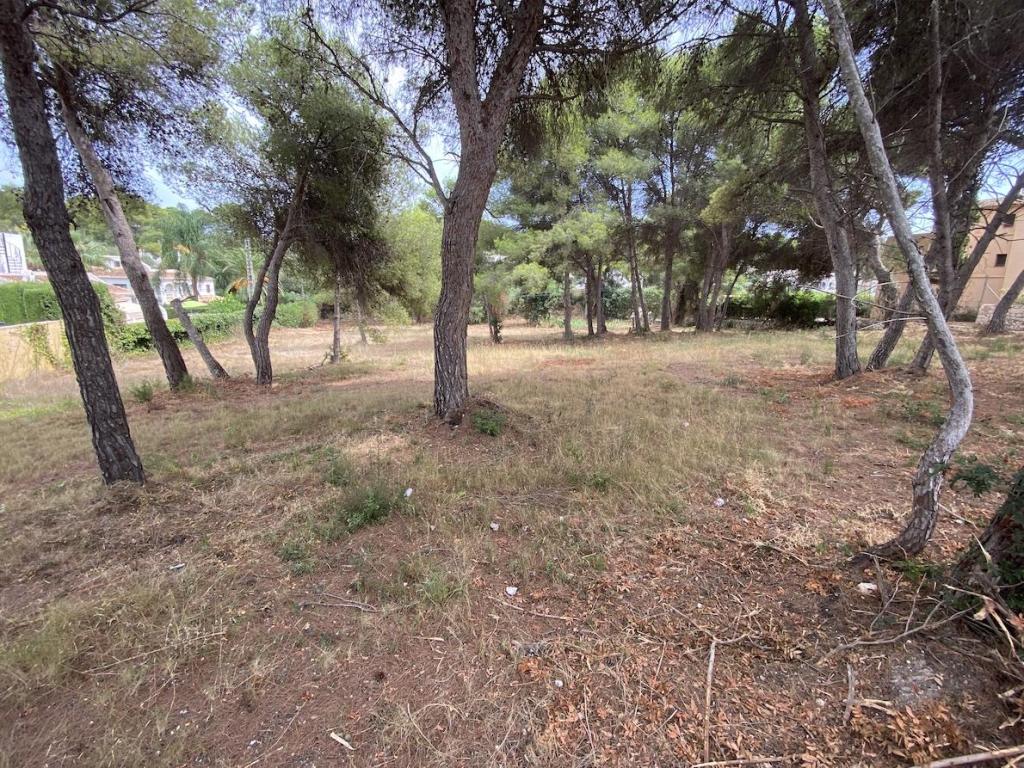 plots of land in Javea