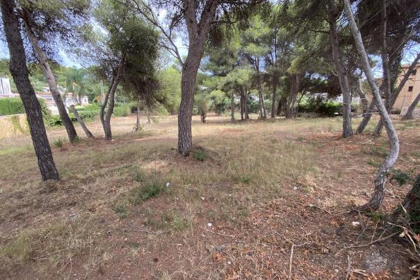 plots of land in Javea