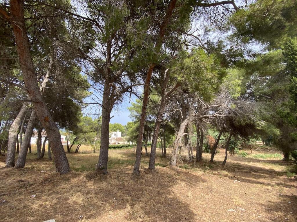 plots of land in Javea