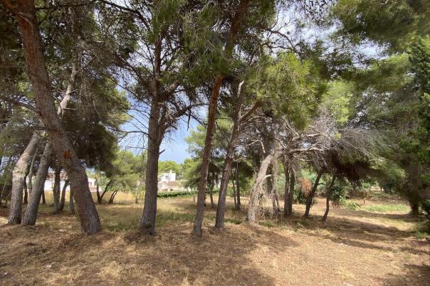 plots of land in Javea