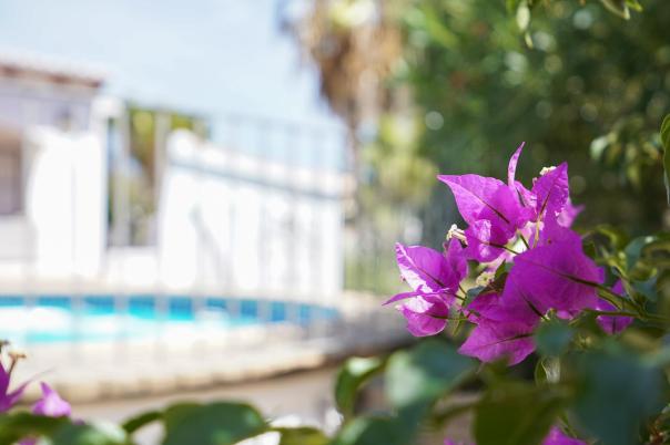 3 bed villa in Jávea