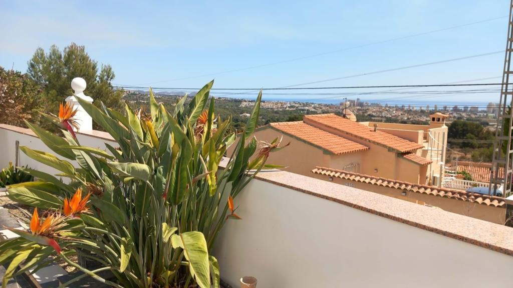 7 bed villa in Calpe/Calp