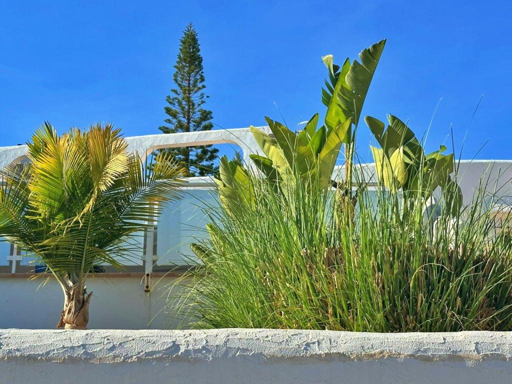 5 bed villa in Moraira