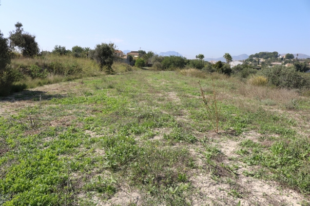 plot in Benissa