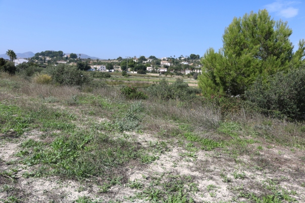 plot in Benissa