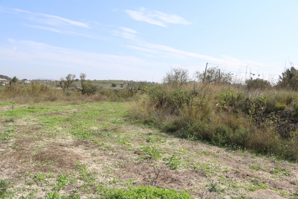 plot in Benissa