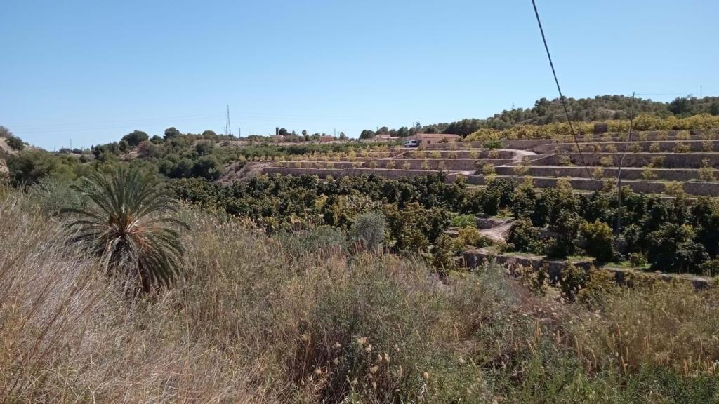 5 bed detached house in Villajoyosa/Vila Joiosa (la)