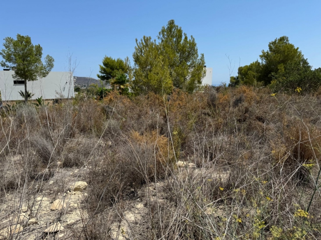 plot in Moraira