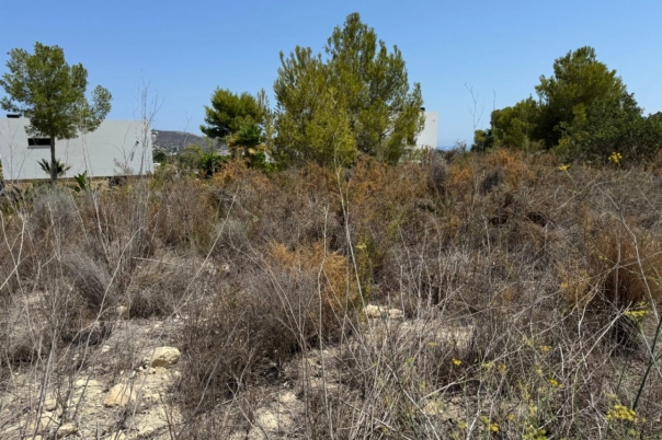 plot in Moraira