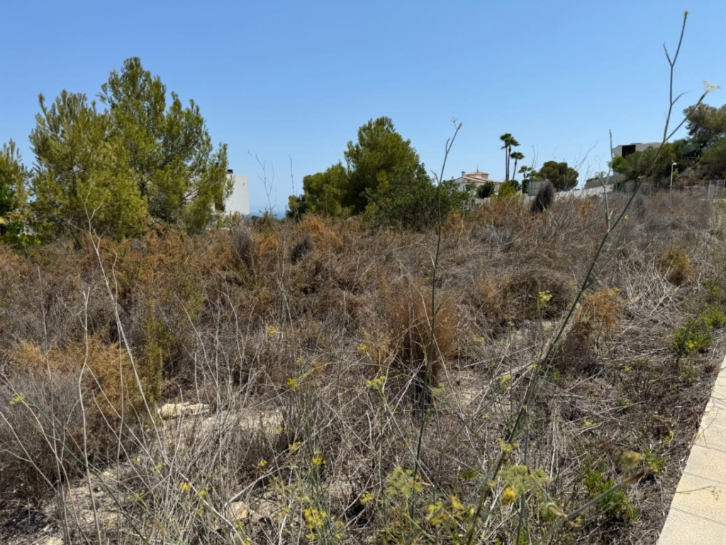 plot in Moraira