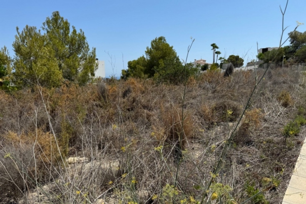 plot in Moraira