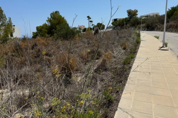 plot in Moraira