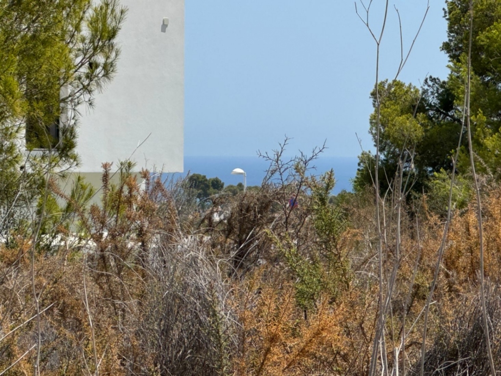plot in Moraira