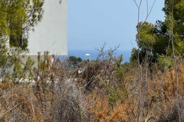 plot in Moraira