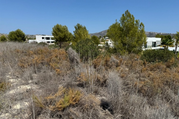plot in Moraira