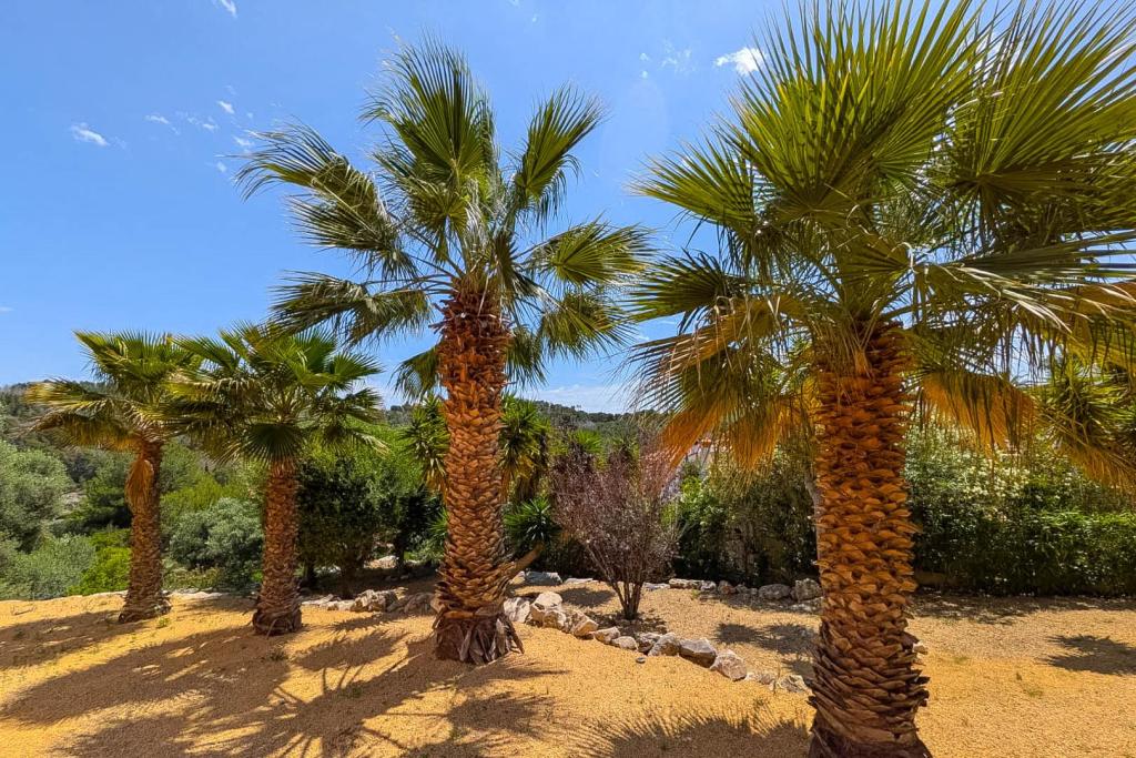 3 bed villa in Jávea
