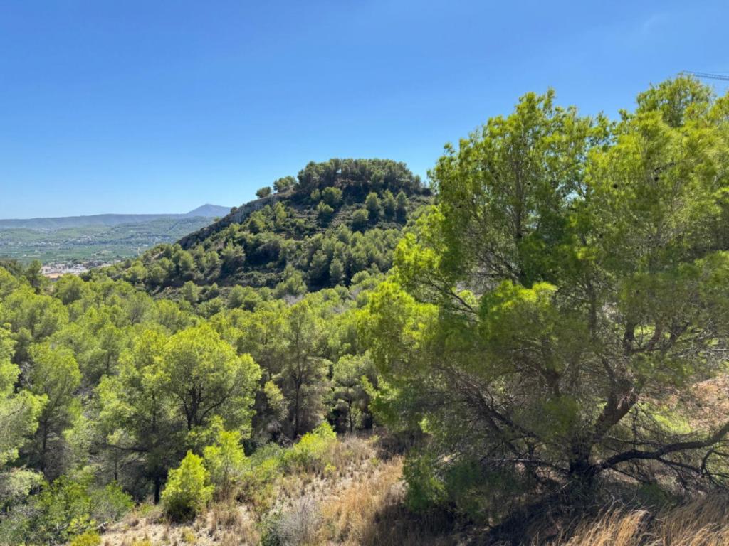 plot in Jávea