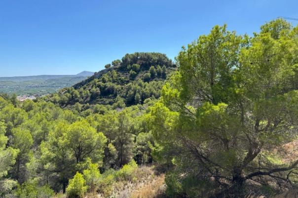 plot in Jávea