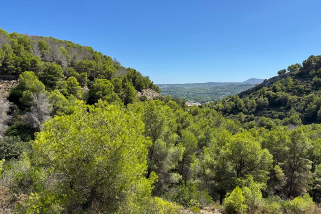 plot in Jávea