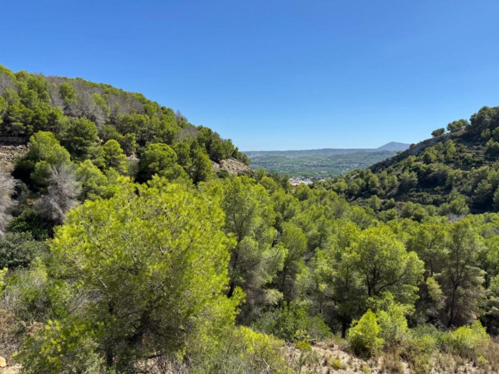 plot in Jávea