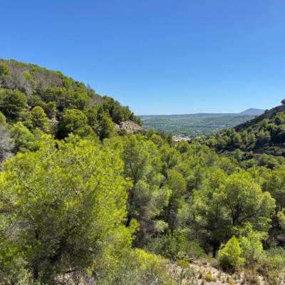 plot in Jávea
