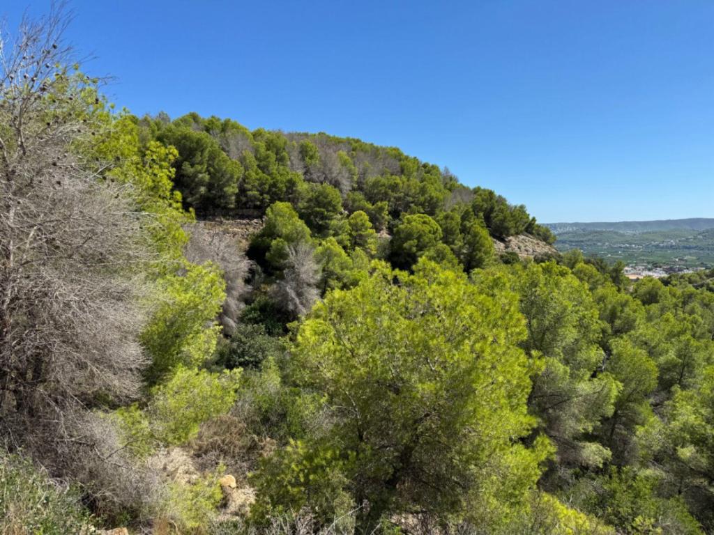 plot in Jávea