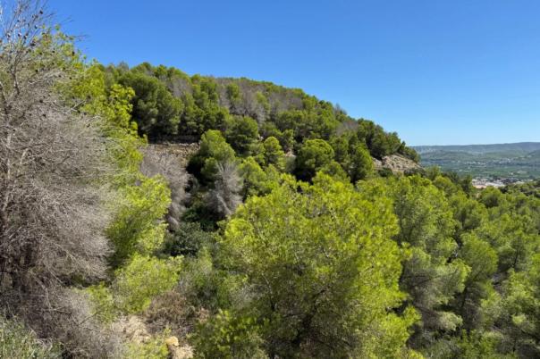 plot in Jávea