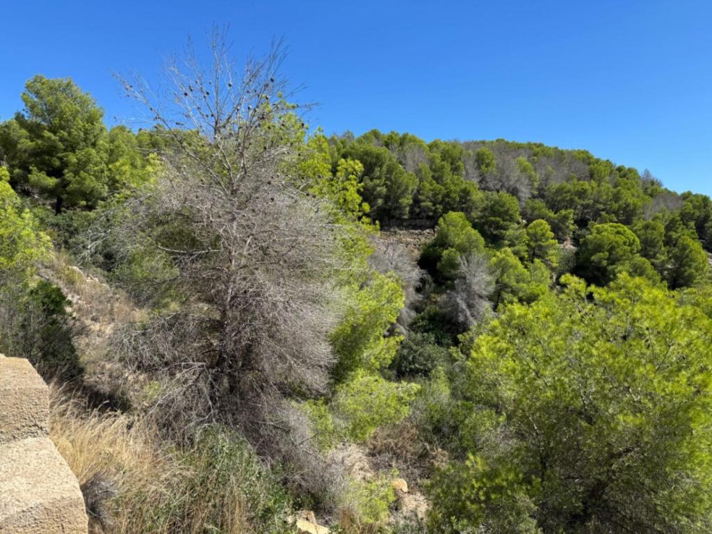 plot in Jávea