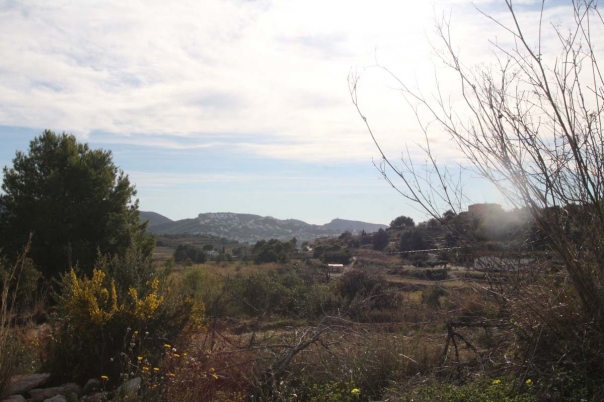 3 bed finca in Benissa
